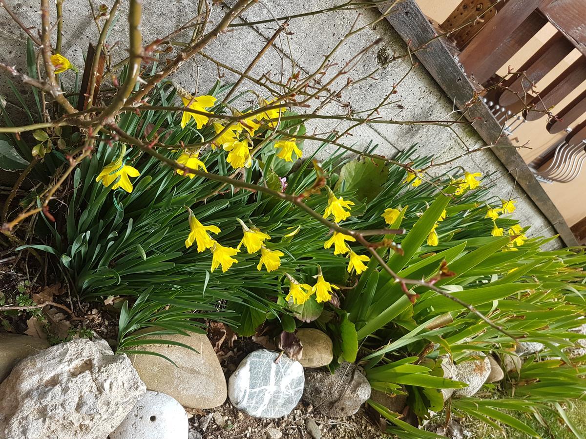 Le Chalet Del Pollino Rotonda Zewnętrze zdjęcie