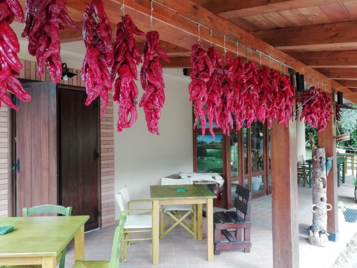 Le Chalet Del Pollino Rotonda Zewnętrze zdjęcie